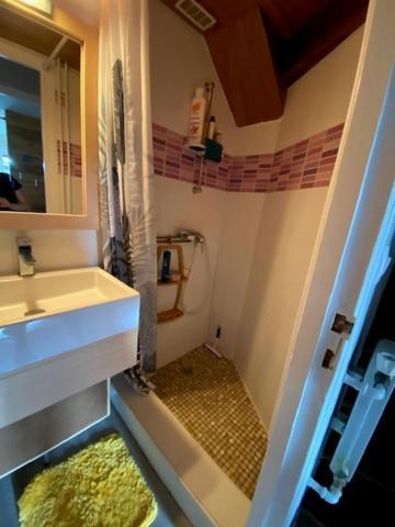 Appartement Duplex Avec Vue Sur Le Sancy Et Garage Couvert Murat-le-Quaire Eksteriør bilde