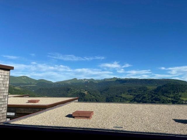 Appartement Duplex Avec Vue Sur Le Sancy Et Garage Couvert Murat-le-Quaire Eksteriør bilde
